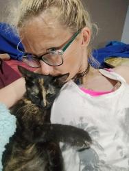 Lost Female Cat last seen Near Texas Ave, Houston, TX 77003, Houston, TX 77003