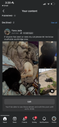 Lost Male Cat last seen southridge mall, army post road, se 5th, Des Moines, IA 50315