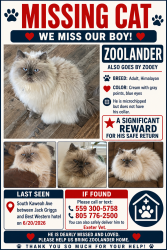 Lost Male Cat last seen Near the Best Western in Exeter, CA, Exeter, CA 93221