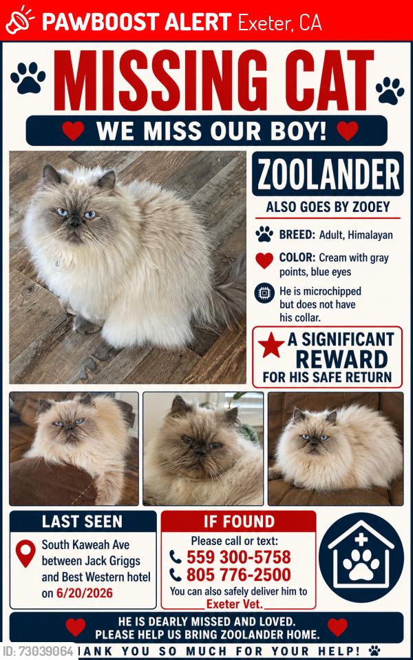 Lost Male Cat last seen Near the Best Western in Exeter, CA, Exeter, CA 93221