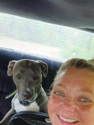 Lost Female Dog last seen Decaturville, tn, Linden, TN 37096