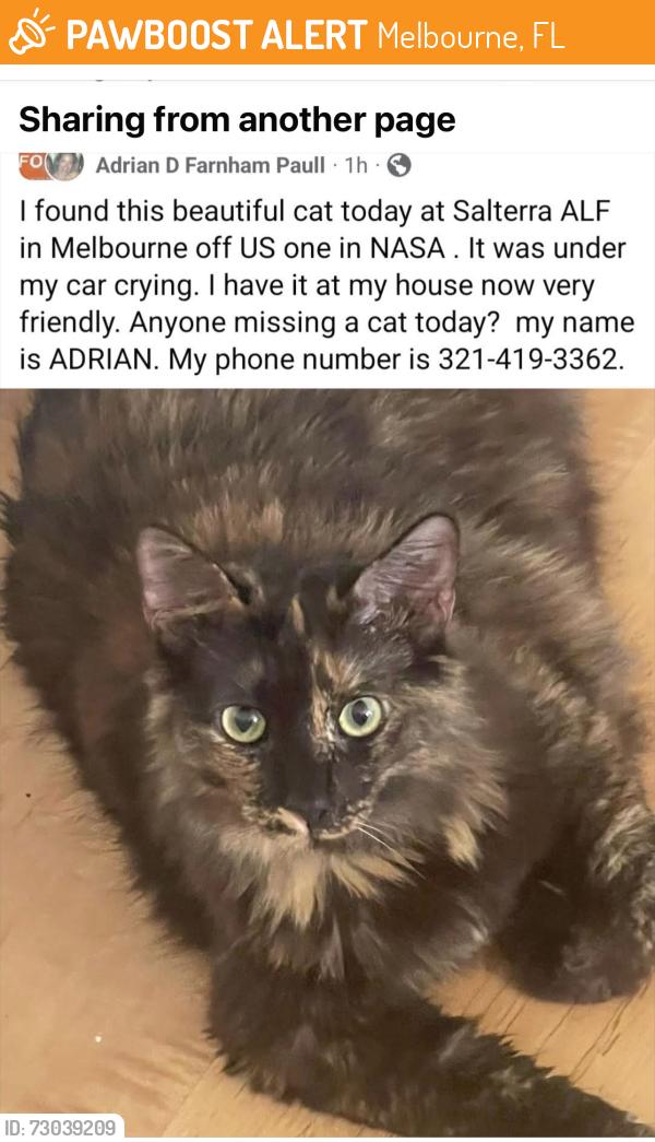 Found/Stray Unknown Cat last seen US-1 and NASA Boulevard, Melbourne, FL 32901