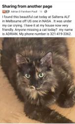 Found/Stray Unknown Cat last seen US-1 and NASA Boulevard, Melbourne, FL 32901
