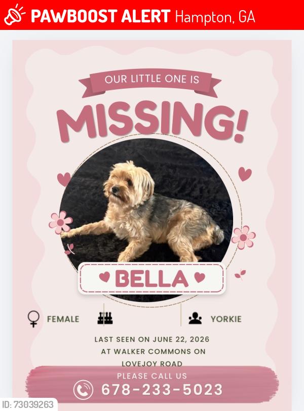 Lost Female Dog last seen Near Lovejoy Rd and Winston Dr in the Towne Center subdivision, close to Lovejoy High School in Hampton., Hampton, GA 30228