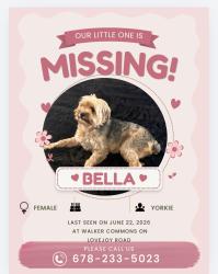 Lost Female Dog last seen Near Lovejoy Rd and Winston Dr in the Towne Center subdivision, close to Lovejoy High School in Hampton., Hampton, GA 30228
