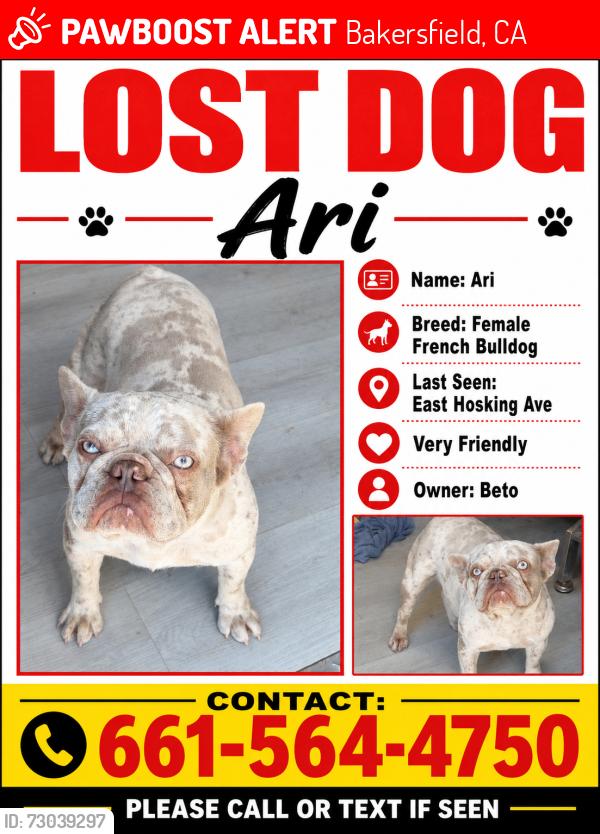 Lost Female Dog last seen Hosking ave and cottonwood, Bakersfield, CA 93307