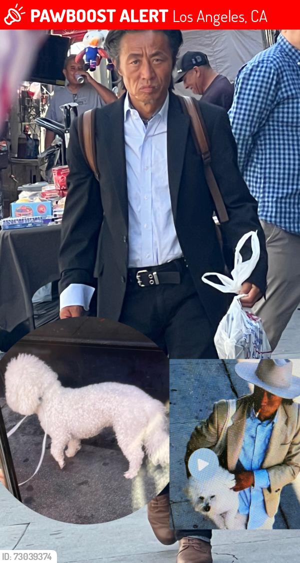 Lost Male Dog last seen Round 5-6 s Los Angeles st in downtown LA California , Los Angeles, CA 90028
