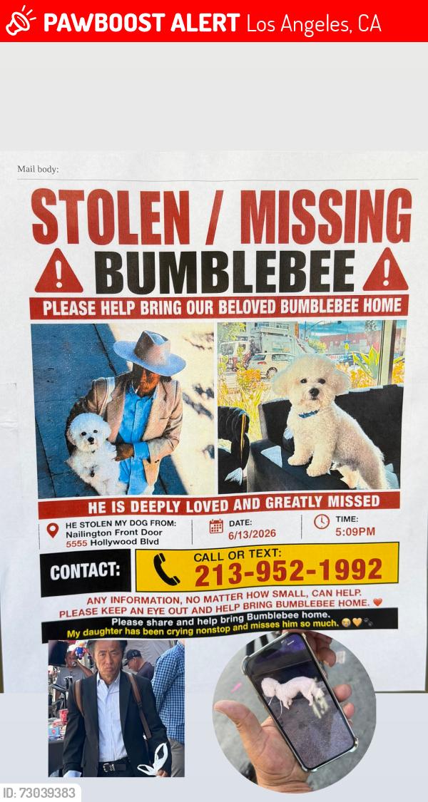 Lost Male Dog last seen Near s Los Ángeles ca , Los Angeles, CA 90013