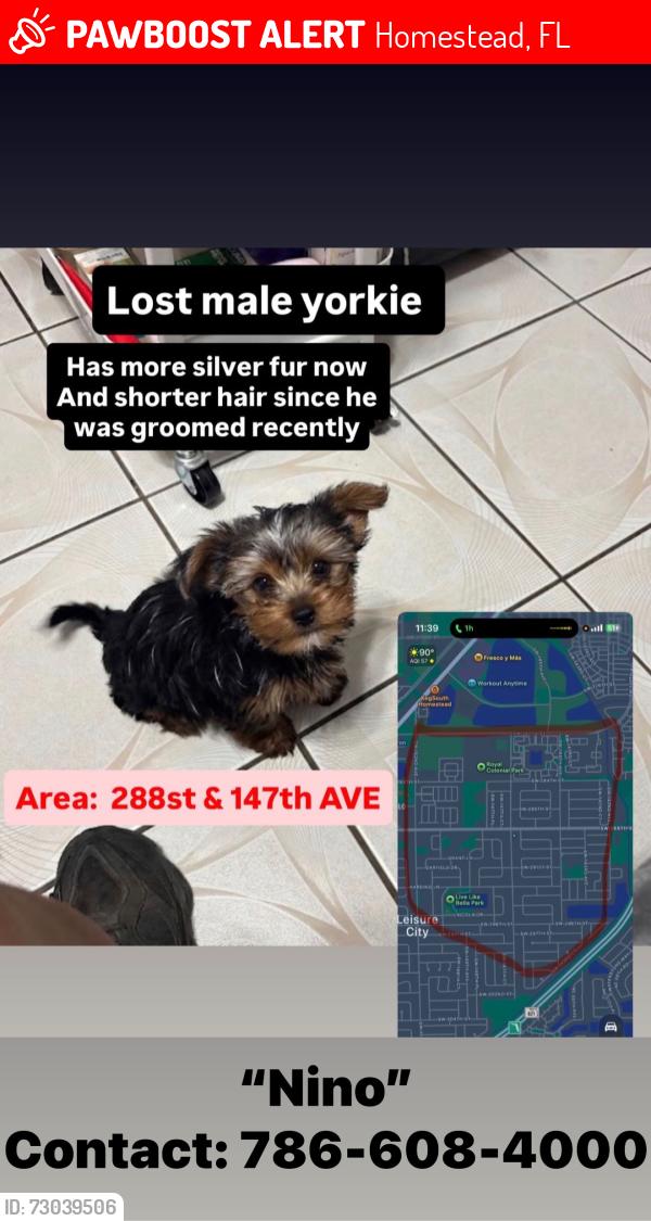 Lost Male Dog last seen 288th street & 147th ave leisure city fl, Homestead, FL 33033