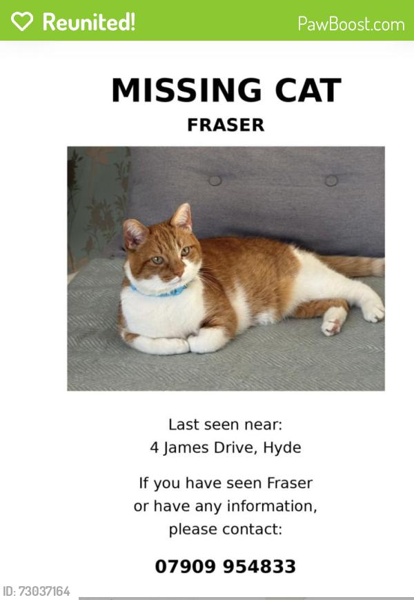 Reunited Male Cat last seen James North Clock hyde, Greater Manchester, England SK14 1RQ