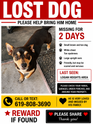 Reunited Male Dog last seen logan ave, San Diego, CA 92113