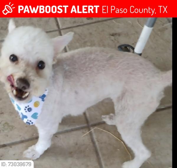 Lost Male Dog last seen Hueco tanks, El Paso County, TX 79938