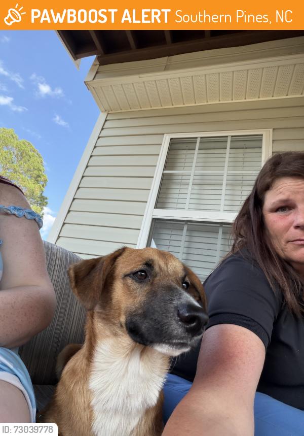 Found/Stray Male Dog last seen Crossroads Ford Southern Pines, Southern Pines, NC 28387