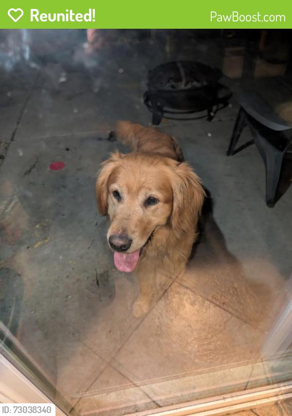Reunited Male Dog last seen Avalon prkway, Perris, CA 92571