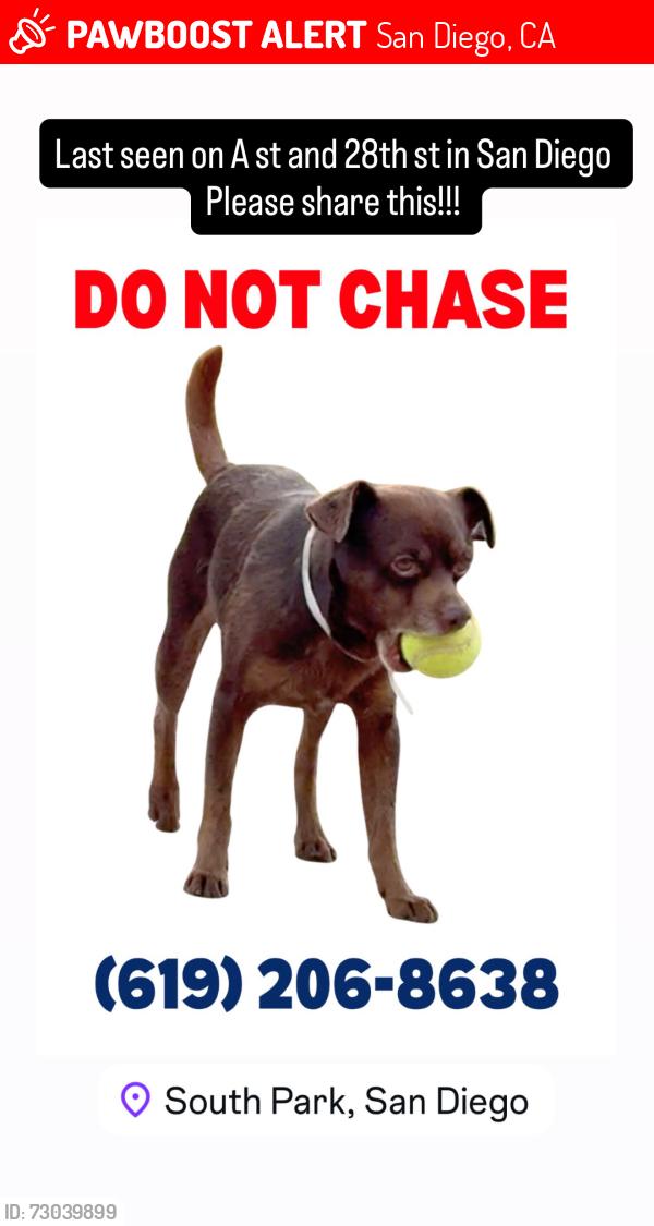 Lost Male Dog last seen A & 28th, San Diego, CA 92102