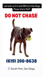 Lost Male Dog last seen A & 28th, San Diego, CA 92102