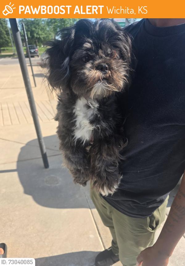 Found/Stray Unknown Dog last seen May and Southwest blvd, Wichita, KS 67213