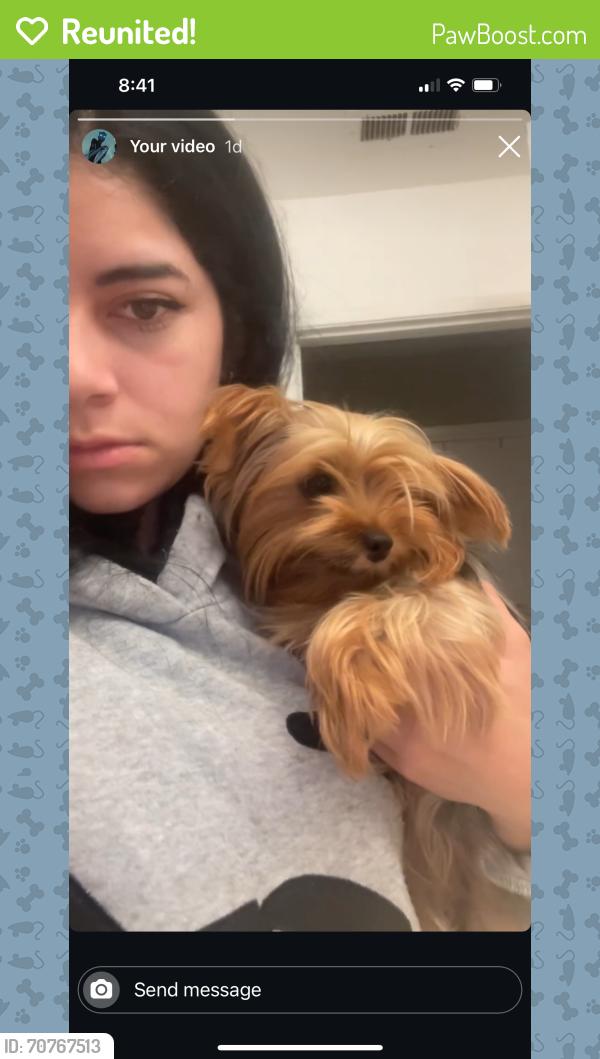 Reunited Female Dog last seen Arlington & Mitc Ave near Rosemary Kennedy Elementary School , Riverside, CA 92505