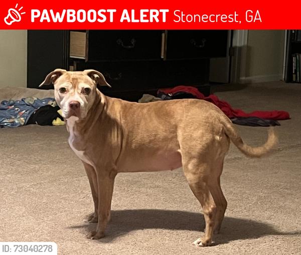 Lost Female Dog last seen Tasman trial, Stonecrest, GA 30038