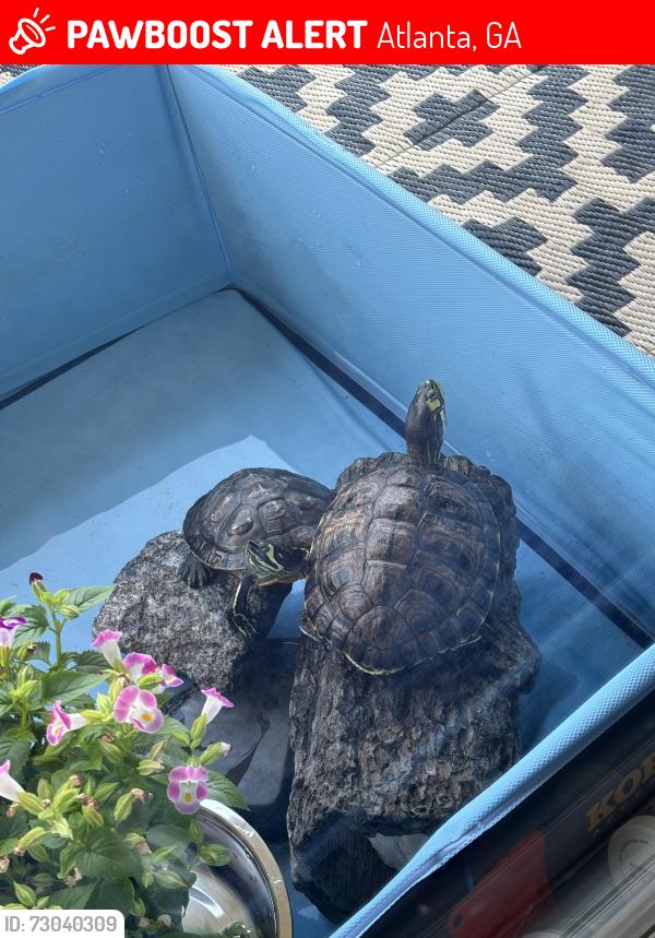 Lost Female Reptile last seen In her pen , Atlanta, GA 30308