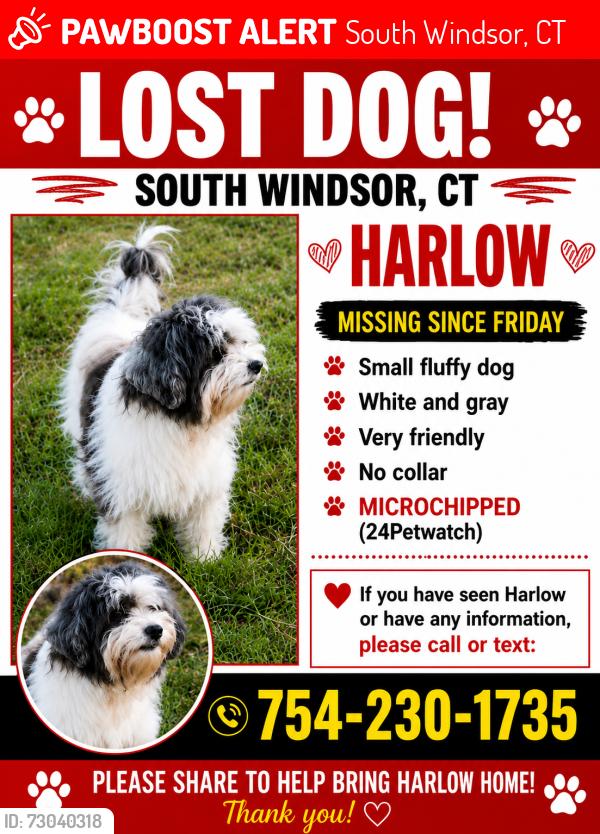 Lost Male Dog last seen Scantic meadow rd, South Windsor, CT 06074