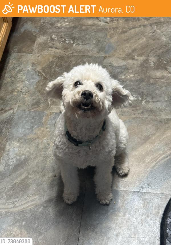 Found/Stray Female Dog last seen Quincy and Chambers, Aurora, CO 80015