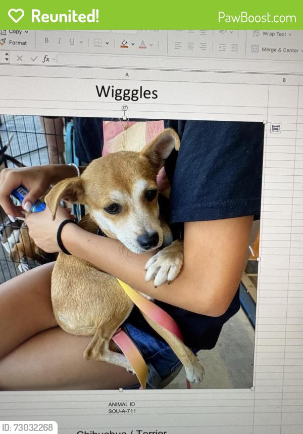 Reunited Female Dog last seen Caramel View and Carmel Country RD. San Diego 92130, San Diego, CA 92130