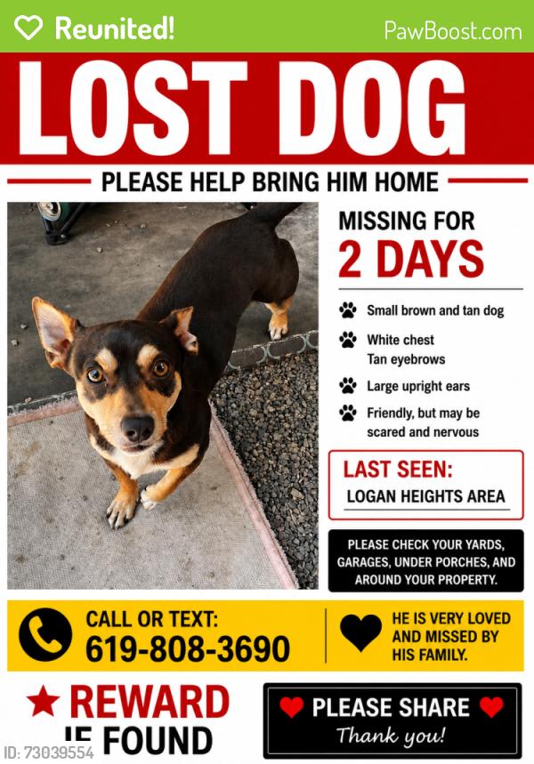 Reunited Male Dog last seen logan ave, San Diego, CA 92113