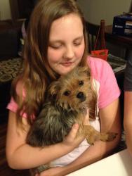 Lost Female Dog last seen u street, Greenwood Ave, so. 23rd st, Fort Smith, AR 72901