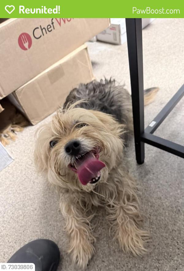 Reunited Male Dog last seen Near east boot road, West Chester, PA 19380