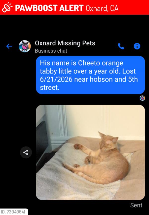 Lost Male Cat last seen Caddy corner from dog park, Oxnard, CA 93030