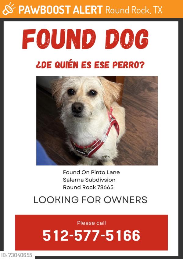 Found/Stray Male Dog last seen Pinto lane , Round Rock, TX 78665