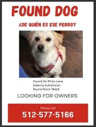 Found/Stray Male Dog last seen Pinto lane , Round Rock, TX 78665