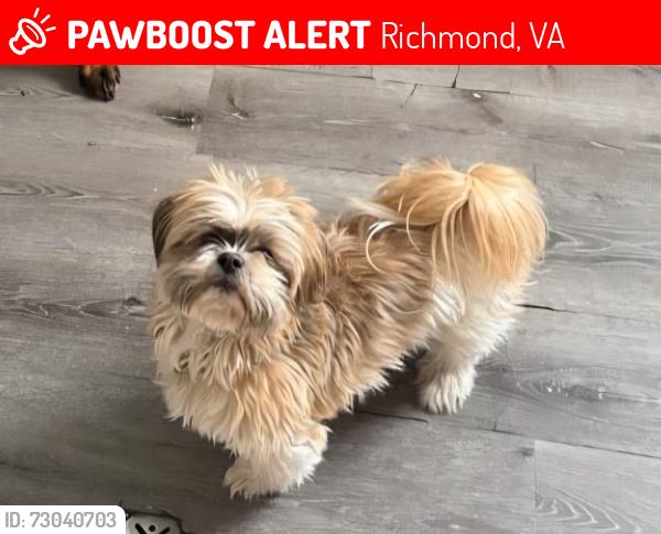 Lost Male Dog last seen Nine Mile, Richmond, VA 23223
