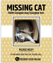 Lost Male Cat last seen Glasgow Way / Glasgow Ave., Los Angeles, CA 90045