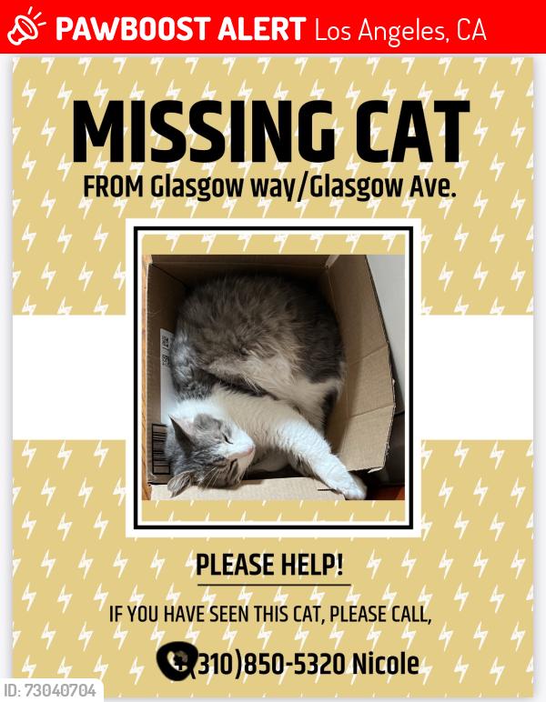Lost Male Cat last seen Glasgow Way / Glasgow Ave., Los Angeles, CA 90045