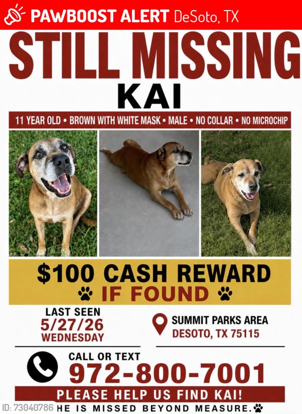 Lost Male Dog last seen Summit Parks Neighborhood on Beltline Road in DeSoto, DeSoto, TX 75115