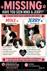 Lost Male Cat last seen Near Bradwell grove congleton, Cheshire East, England CW12