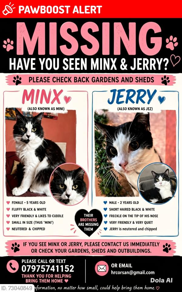 Lost Male Cat last seen Near Bradwell grove congleton, Cheshire East, England CW12