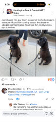 Found/Stray Unknown Dog last seen Circle view , Huntington Beach, CA 92647