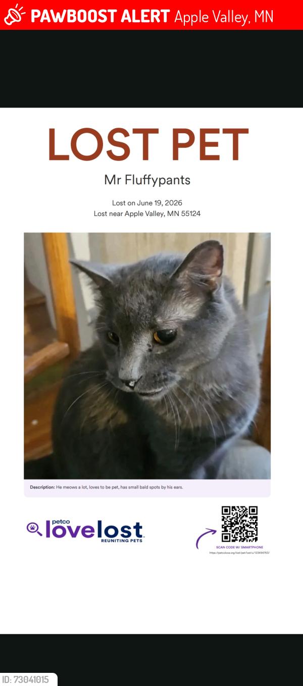 Lost Male Cat last seen Galaxie avenue, Apple Valley, MN 55124