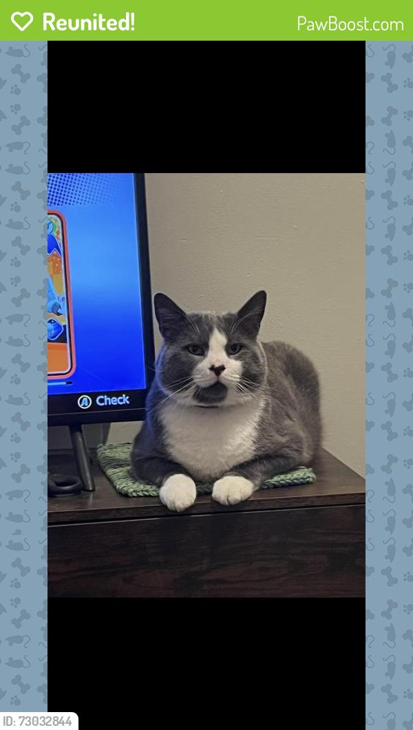 Reunited Male Cat last seen Broad St and E Philadelphia, York, PA 17403