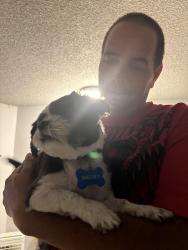 Reunited Male Dog last seen Aero apmts, Tacoma, WA 98444