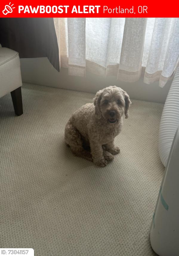 Lost Male Dog last seen Near se. 120th pl, Portland, OR 97266
