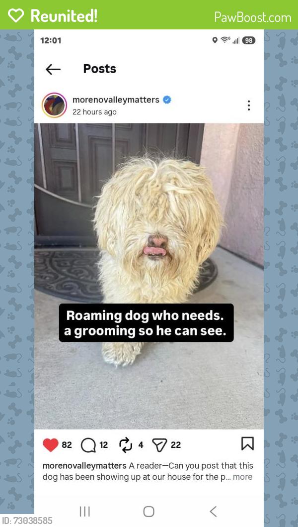 Reunited Male Dog last seen Iris ave, Moreno Valley, CA 92551