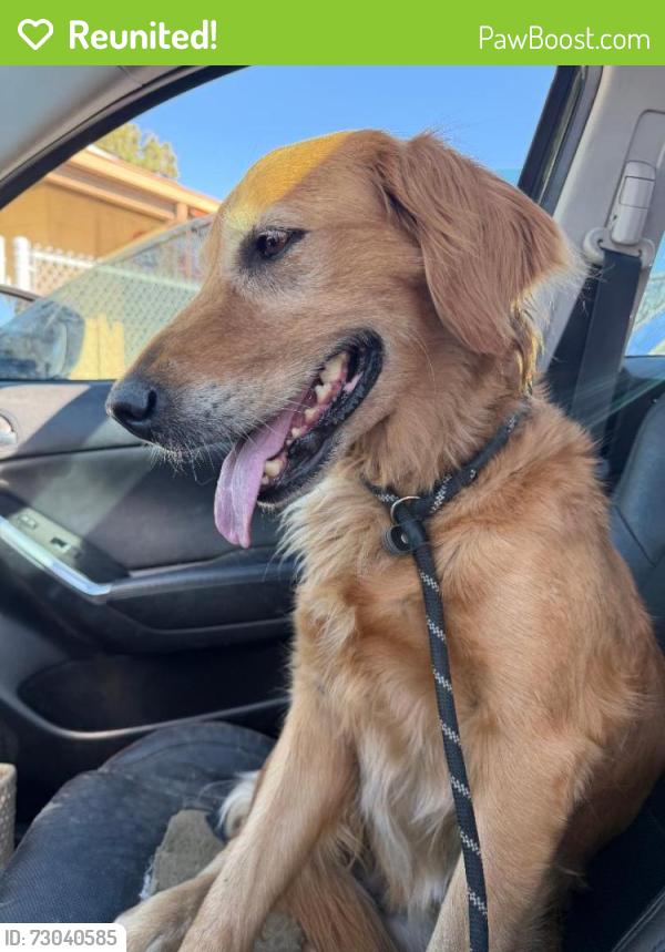 Reunited Female Dog last seen Whittier, CA, USA, Whittier, CA 90602