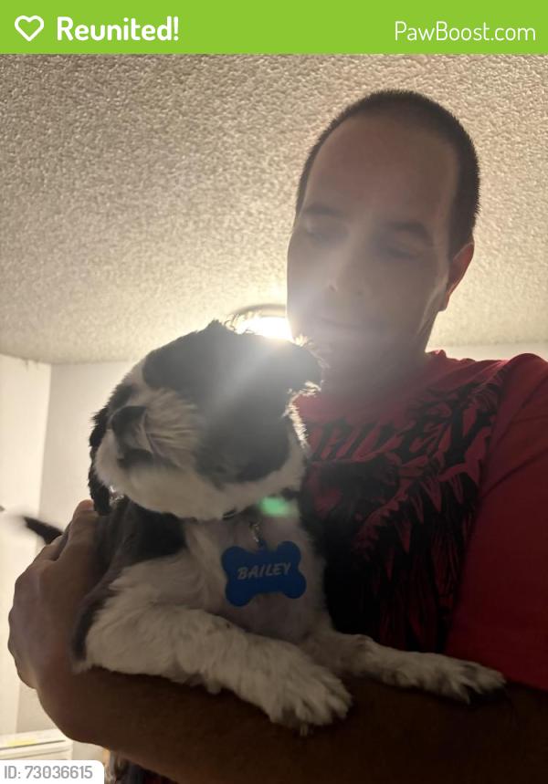 Reunited Male Dog last seen Aero apmts, Tacoma, WA 98444