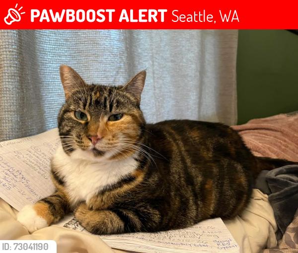 Lost Female Cat last seen 120th & 3rd ave nw, Seattle, WA 98177
