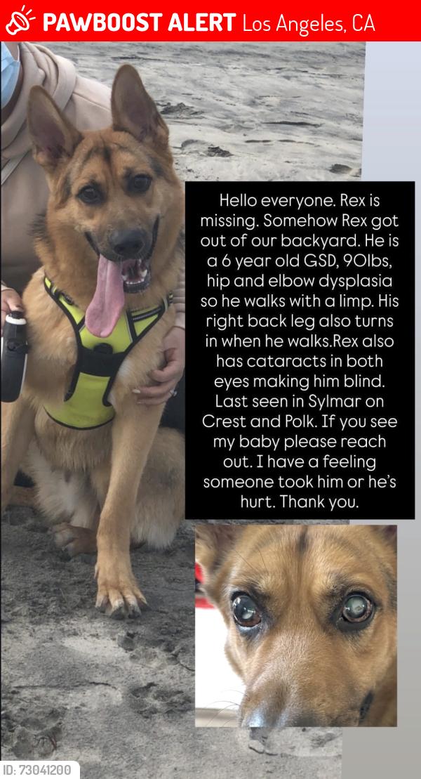 Lost Male Dog last seen Crest and Polk , Los Angeles, CA 91342