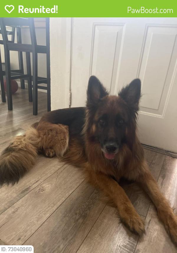 Reunited Male Dog last seen Grand and rose , Escondido, CA 92027